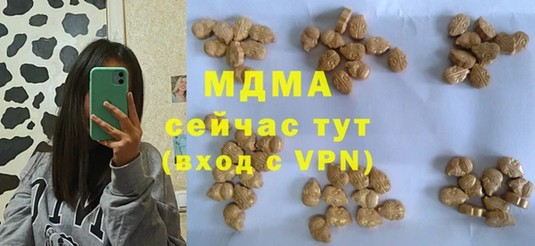 ешки Болотное