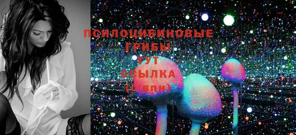 тгк Заводоуковск