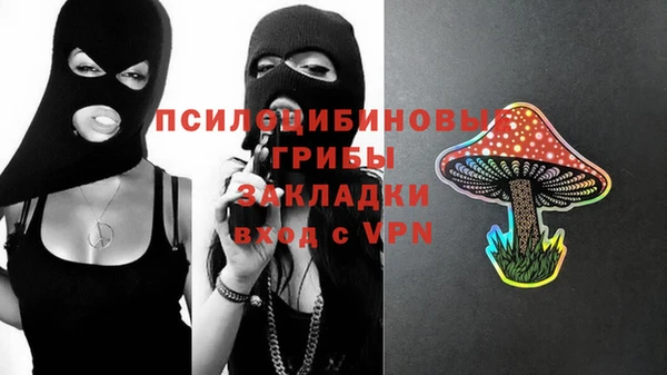 МДПВ Аркадак